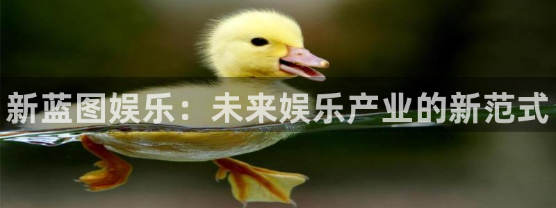 赢彩网2体育：新蓝图娱乐：未来娱乐产业的新范式