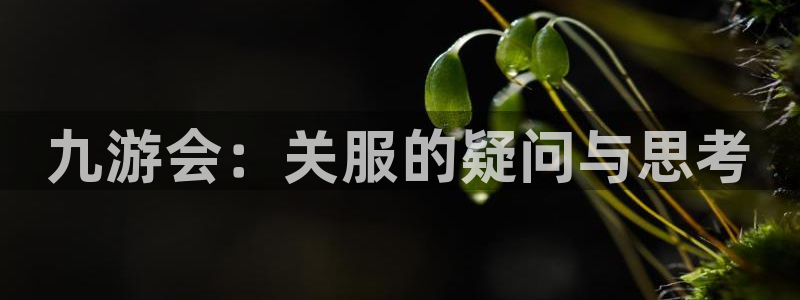 赢彩网4代理：九游会：关服的疑问与思考