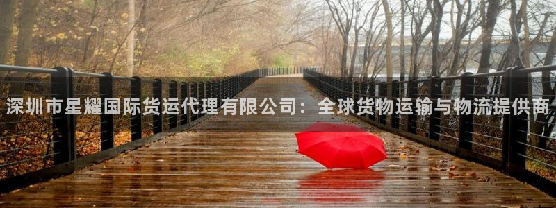 德国赢彩网集团：深圳市星耀国际货运代理有限公司：全球货物运输与物流提供商