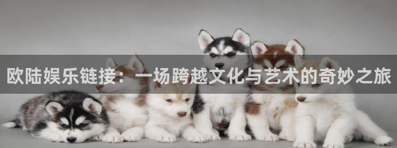 赢彩网平台在线注册：欧陆娱乐链接：一场跨越文化与艺术的奇妙之旅