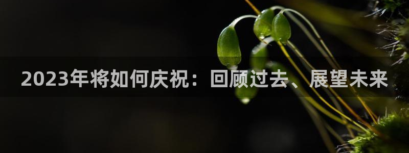 赢彩网2体育登录入口：2023年将如何庆祝：回顾过去、展望未来