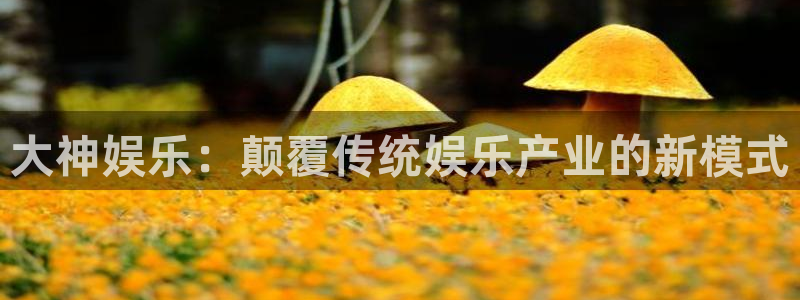 赢彩网体育官网：大神娱乐：颠覆传统娱乐产业的新模式