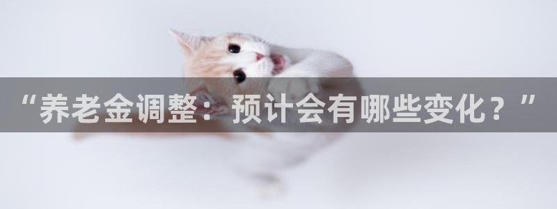 赢彩网2体育登录入口：“养老金调整：预计会有哪些变化？”