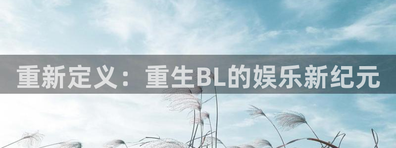 赢彩网4：重新定义：重生BL的娱乐新纪元