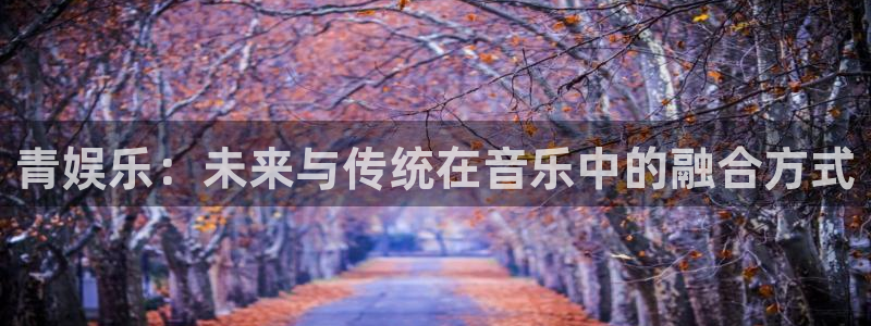 赢彩网平台在线开户：青娱乐：未来与传统在音乐中的融合方式