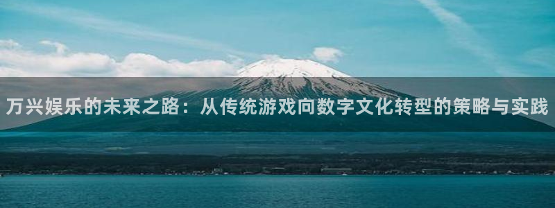 赢彩网集团股票：万兴娱乐的未来之路：从传统游戏向数字文化转型的策略与实践