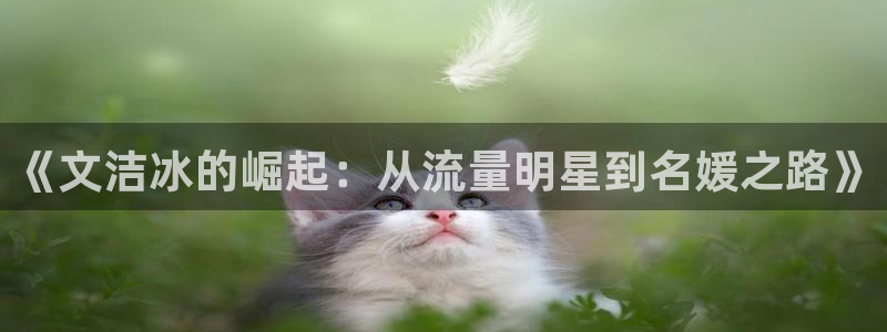 赢彩网体育凯捷平台招商