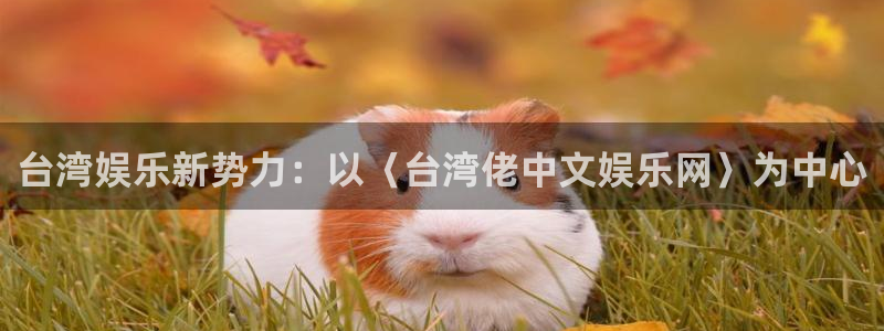 赢彩网招商：台湾娱乐新势力：以〈台湾佬中文娱乐网〉为中心