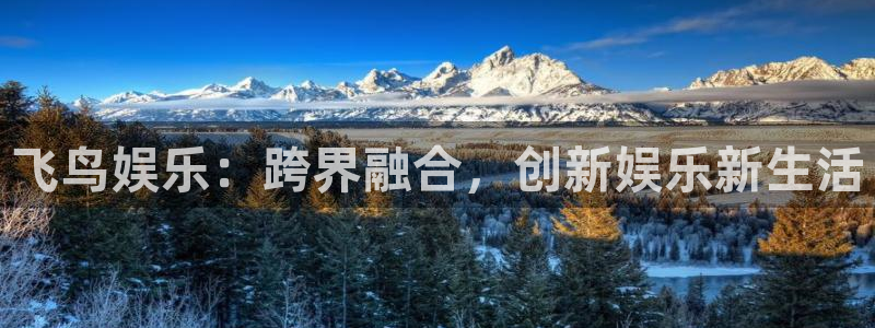 赢彩网代理