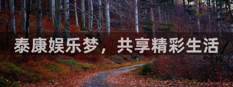 赢彩网体育平台总代理