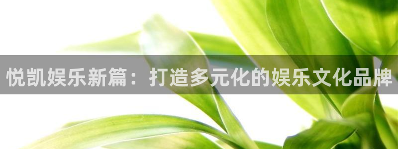 赢彩网体育平台注册：悦凯娱乐新篇：打造多元化的娱乐文化品牌