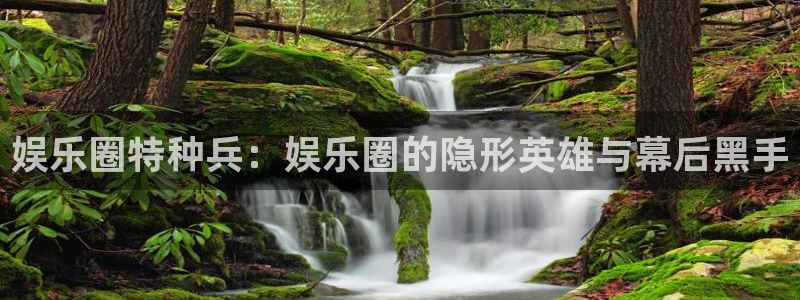 赢彩网主管：娱乐圈特种兵：娱乐圈的隐形英雄与幕后黑手