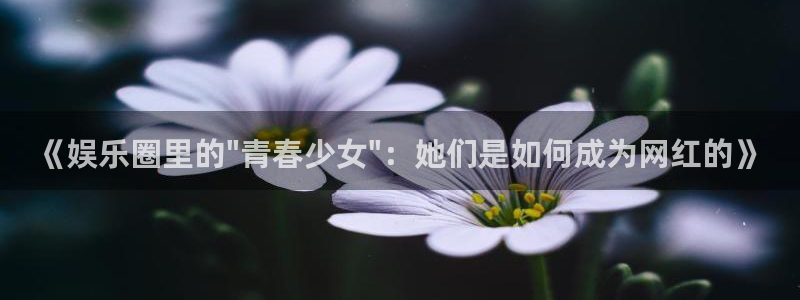 赢彩网官网：《娱乐圈里的\