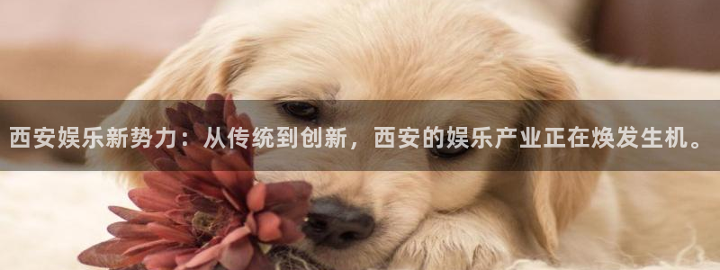 赢彩网体育官网注册：西安娱乐新势力：从传统到创新，西安的娱乐产业正在焕发生机。