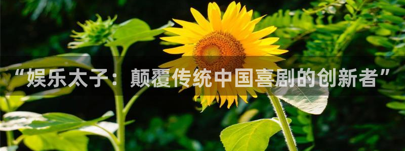 赢彩网登陆：“娱乐太子：颠覆传统中国喜剧的创新者”