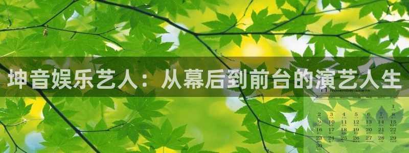 赢彩网2平台注册：坤音娱乐艺人：从幕后到前台的演艺人生